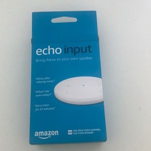 Amazon Echo Input
